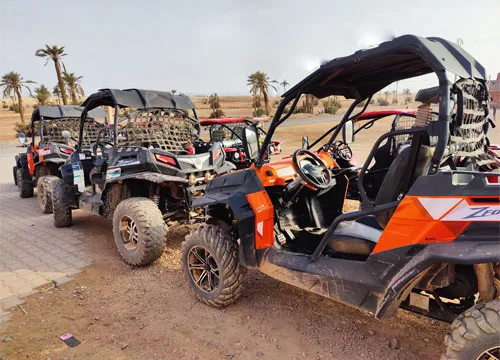 Buggy Palmeraie